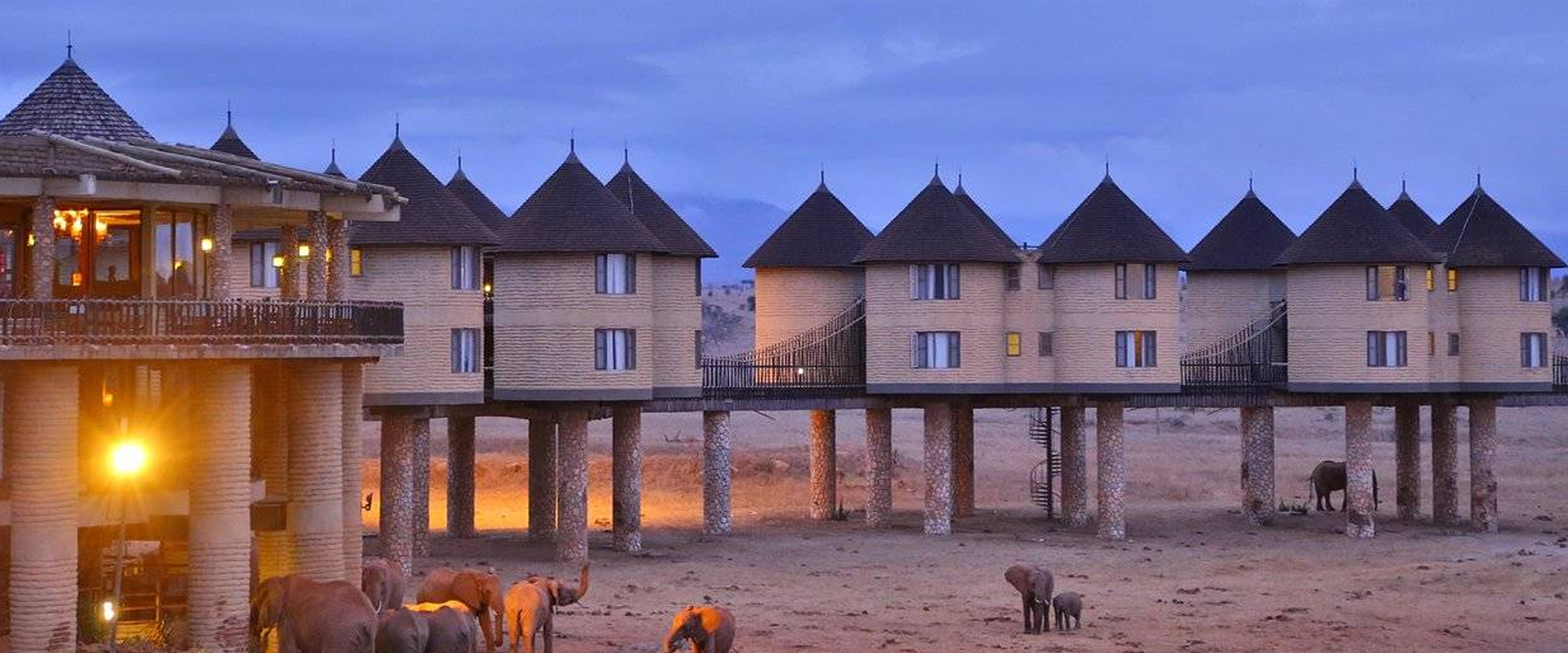 2 Days Saltlick Safari - Taita Hills Game Sanctuary