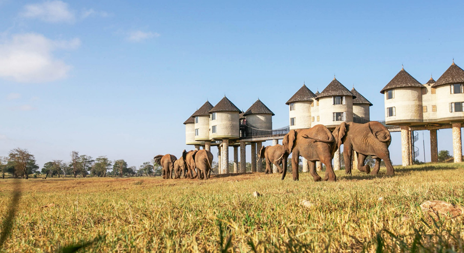 4 Days Tsavo West, Amboseli and Taita Hills , Mombasa Safari