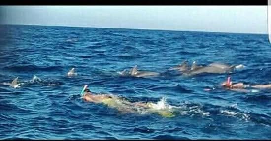 Snorkelling tour to Wasini Island