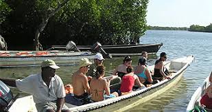 1 Day Funzi Dhow Trip & Crocodile