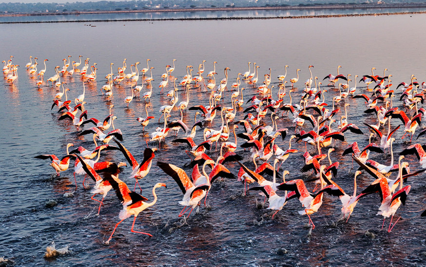 Lake Nakuru National Park