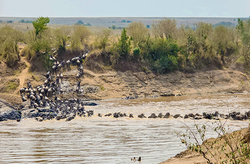 Maasai Mara National Reserve