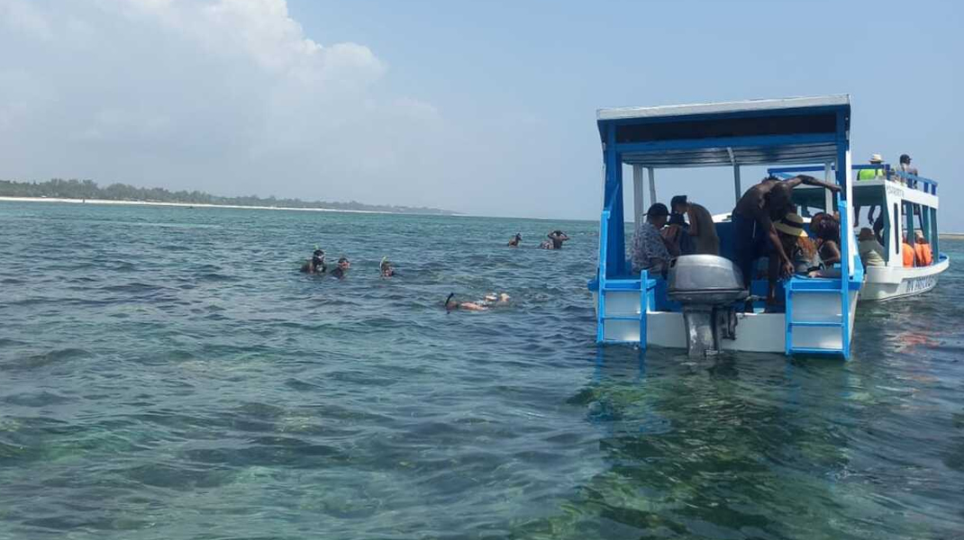 Snorkelling in the Robinson Island