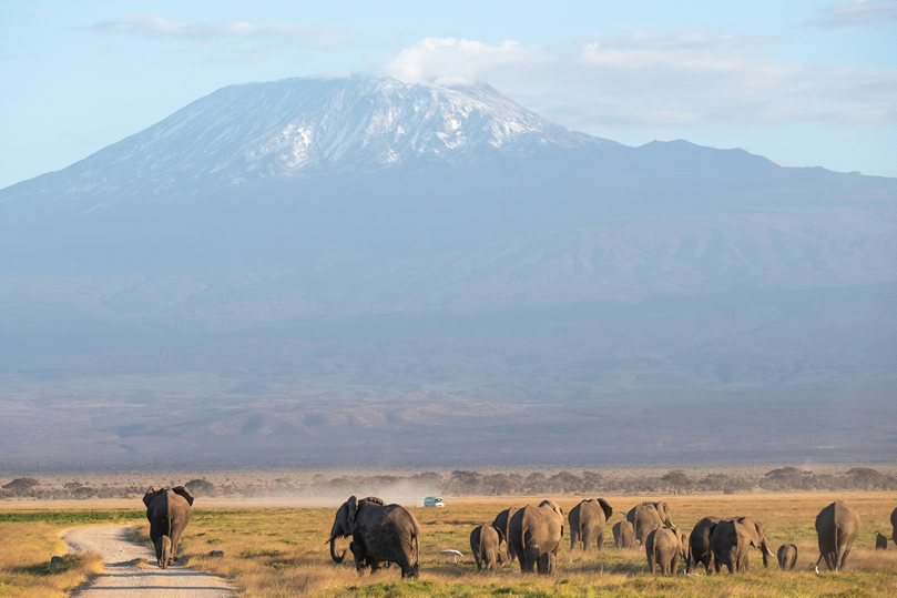 Tsavo West National Park