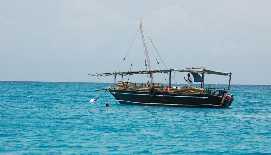 Snorkelling tour to Wasini Island