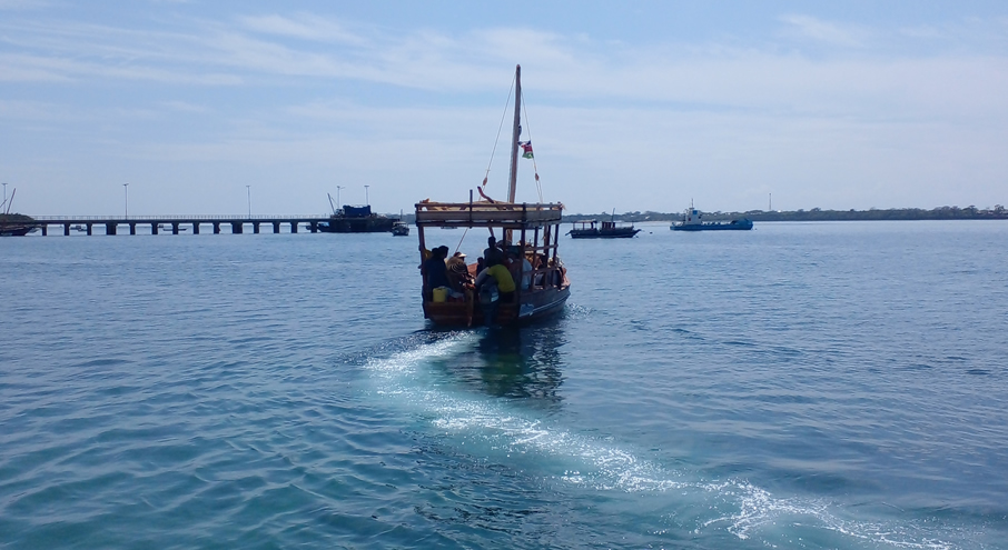 Snorkelling in the Robinson Island